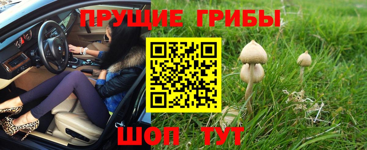 Галлюциногенные грибы ЛСД  Вход с VPN  Волгоград  Псилоцибиновые грибы Psilocybe 